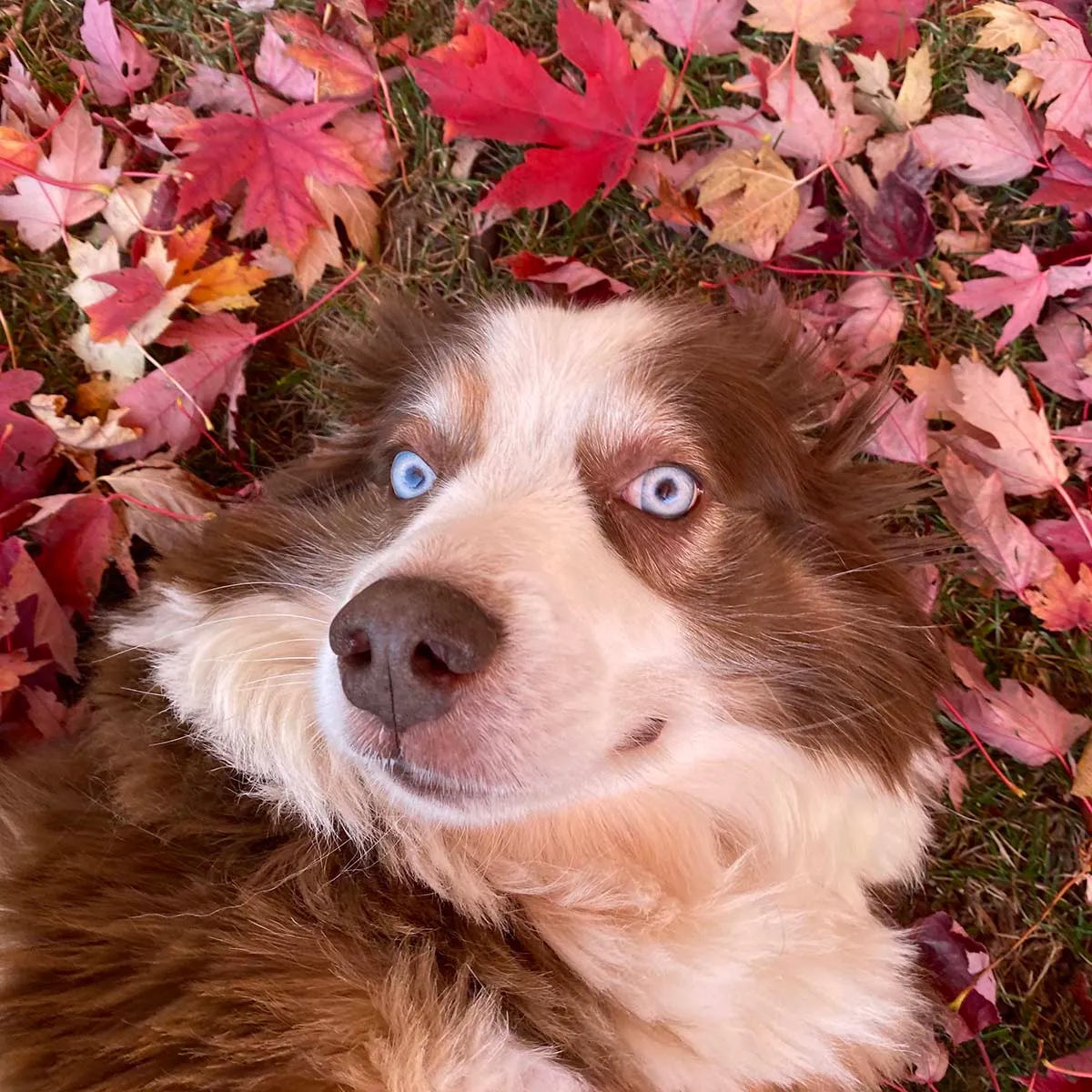 Jack's headshot